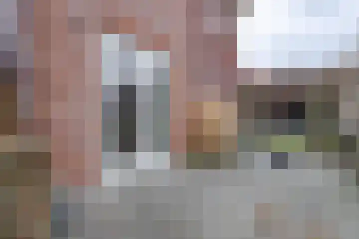 Pinksterbloem 11 Hazerswoude-Dorp thumbnail 35