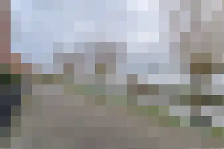 Pinksterbloem 11 Hazerswoude-Dorp thumbnail 4