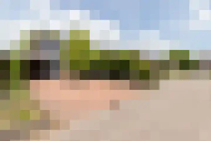 Pinksterbloem 12 in Beilen