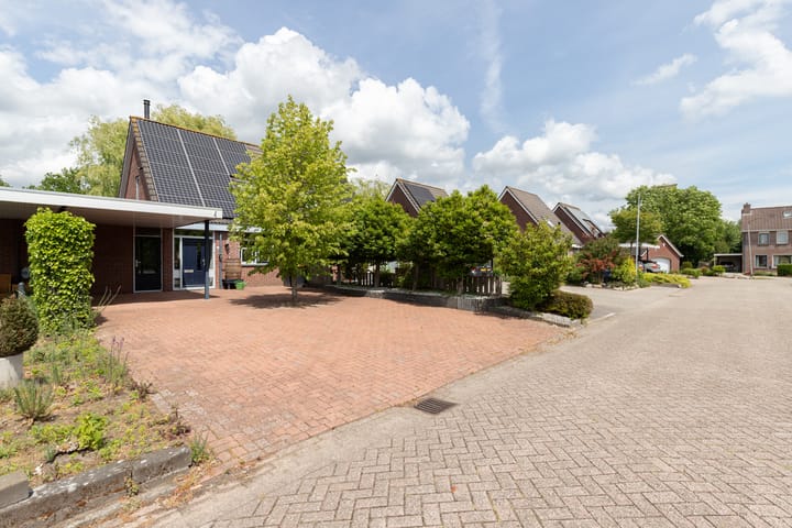 Pinksterbloem 12 dans Beilen photo