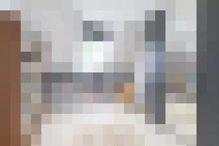 Pinksterbloem 12 Beilen thumbnail 18