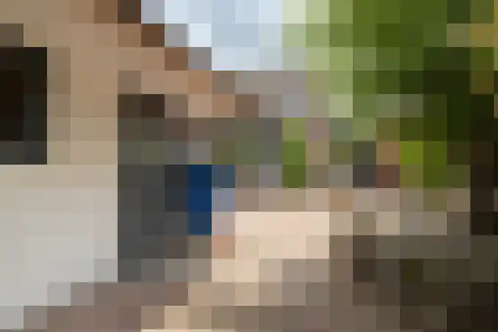Pinksterbloem 12 Beilen thumbnail 22