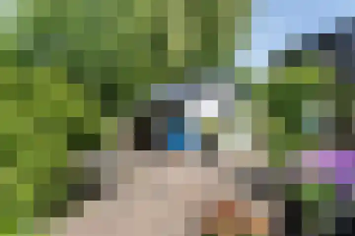 Pinksterbloem 12 Beilen thumbnail 23