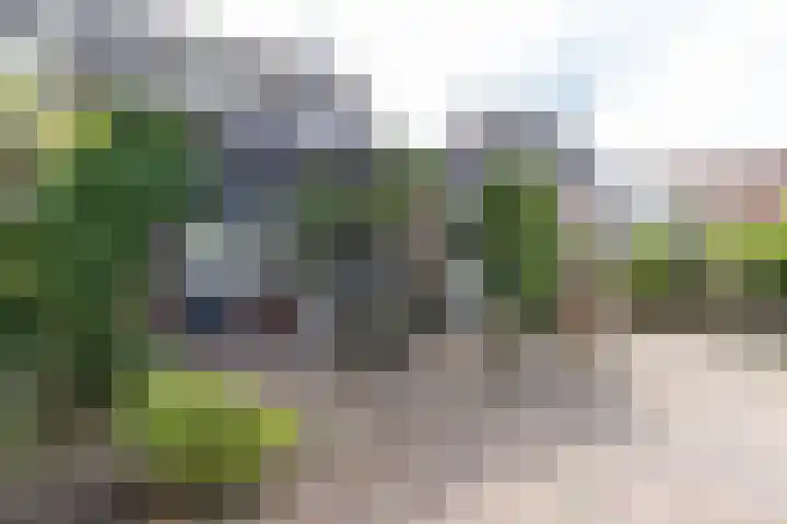 Pinksterbloem 12 Beilen thumbnail 24