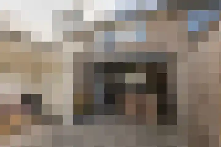 Pinksterbloem 13 Sneek thumbnail 31