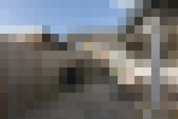 Pinksterbloem 13 Sneek thumbnail 33
