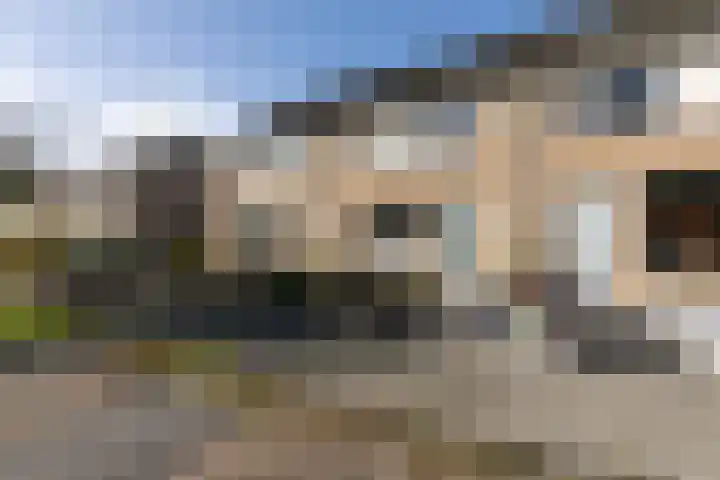 Pinksterbloem 13 Sneek thumbnail 34