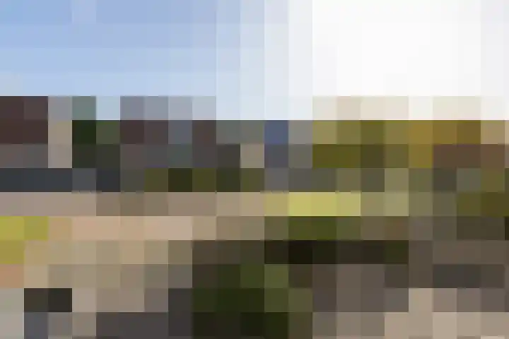 Pinksterbloem 13 Sneek thumbnail 35