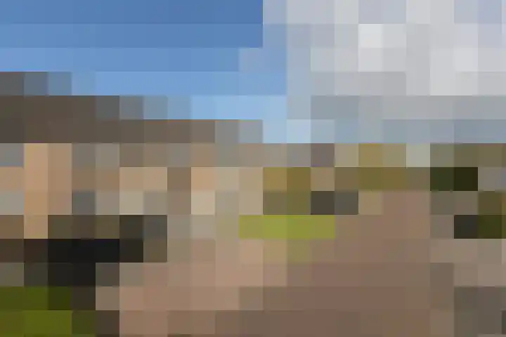 Pinksterbloem 13 Sneek thumbnail 36