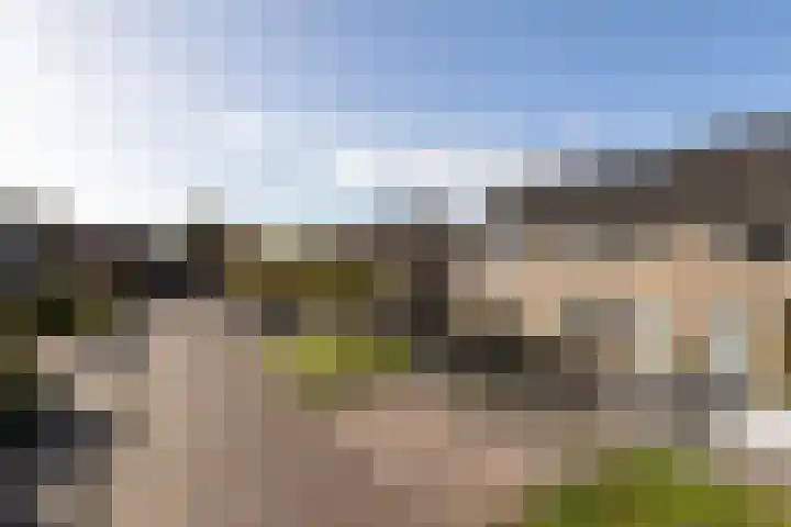 Pinksterbloem 13 Sneek thumbnail 37