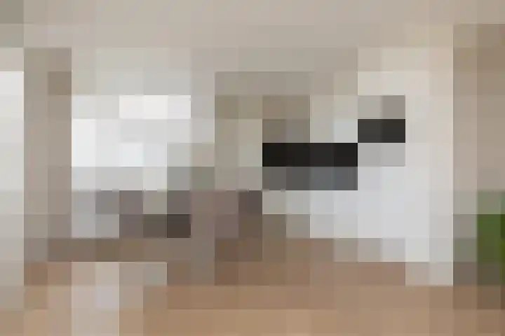 Pinksterbloem 13 Sneek thumbnail 9