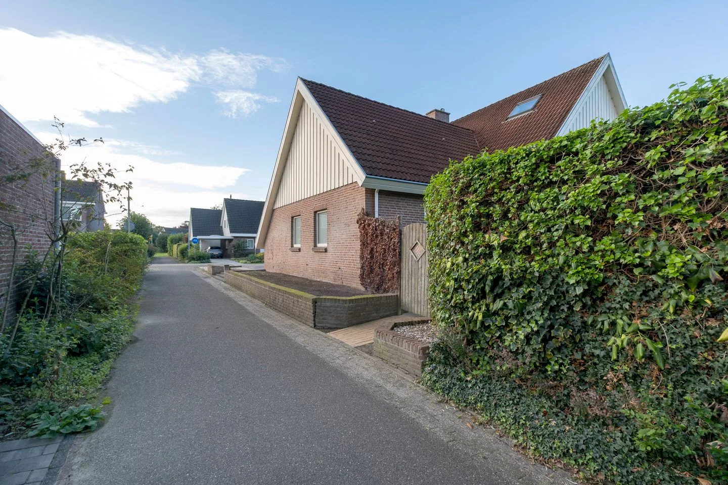 Pinksterbloem 14 Beilen thumbnail 55