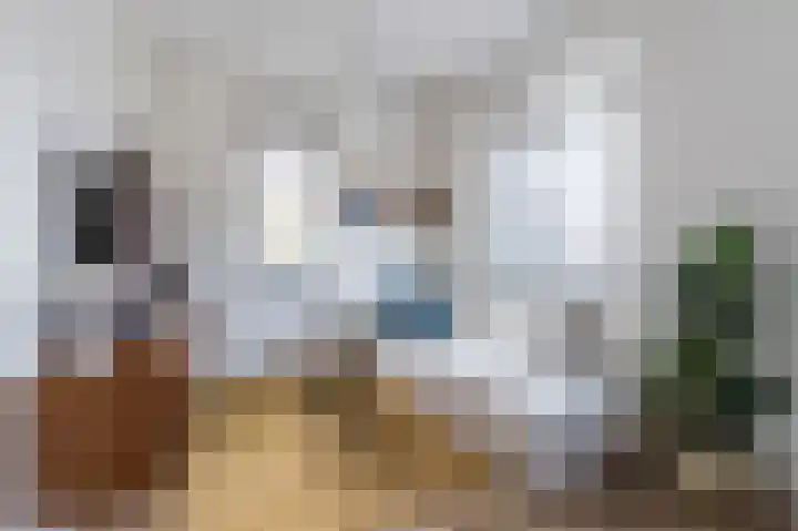 Pinksterbloem 14 Bodegraven thumbnail 22