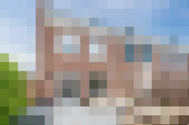 Pinksterbloem 14 Bodegraven thumbnail 35