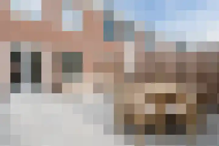 Pinksterbloem 14 Bodegraven thumbnail 36