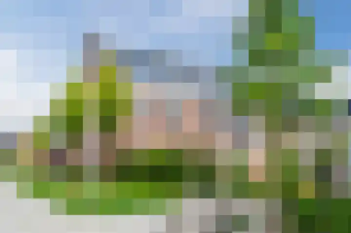 Pinksterbloem 14 Bodegraven thumbnail 37
