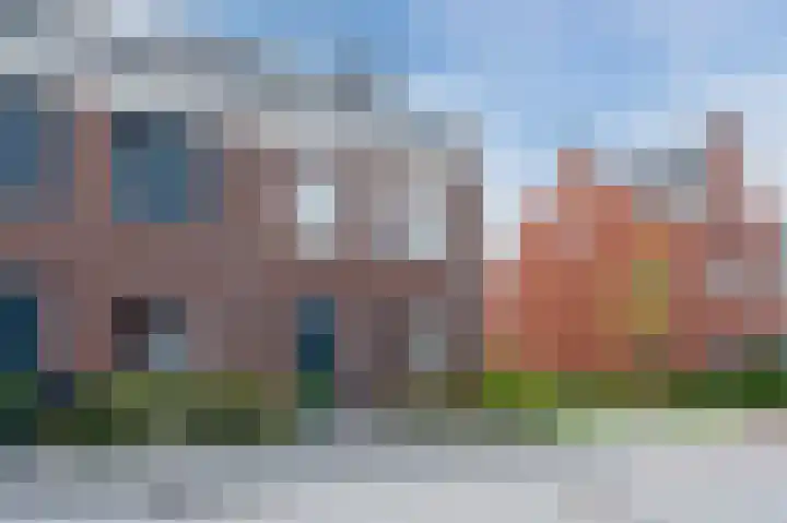 Pinksterbloem 14 Bodegraven thumbnail 38