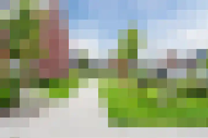 Pinksterbloem 14 Bodegraven thumbnail 39