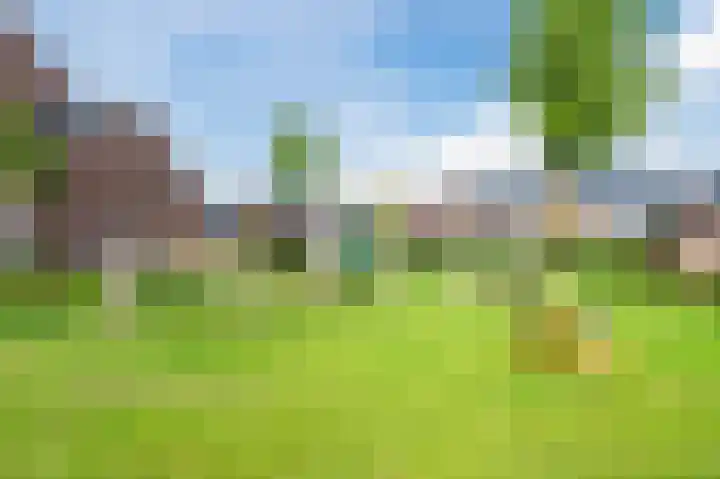 Pinksterbloem 14 Bodegraven thumbnail 40
