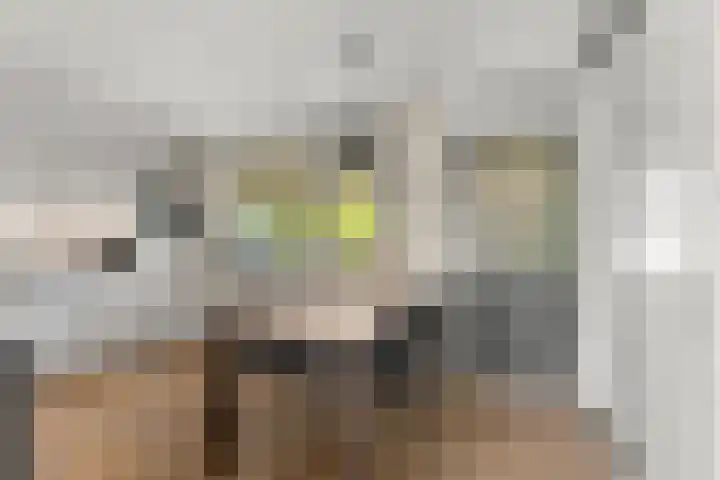 Pinksterbloem 14 Brummen thumbnail 12
