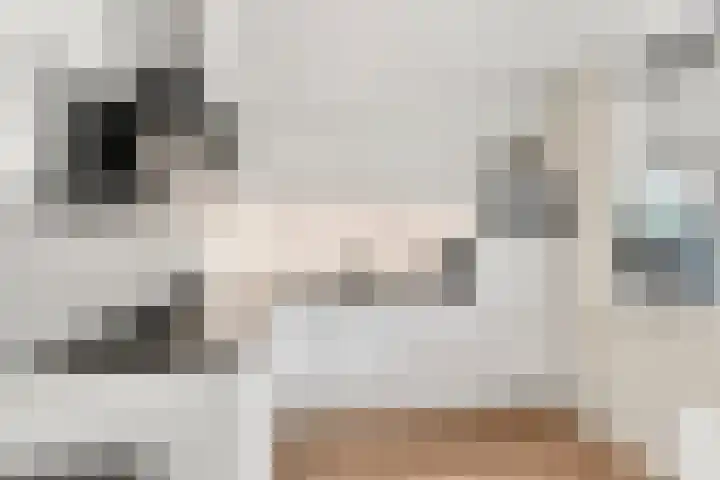 Pinksterbloem 14 Brummen thumbnail 16