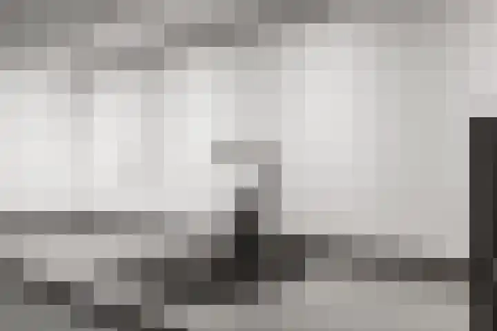 Pinksterbloem 14 Brummen thumbnail 17