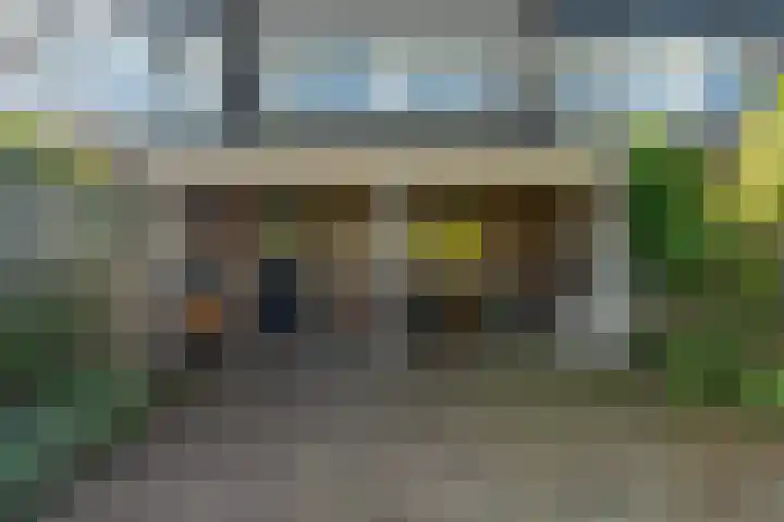 Pinksterbloem 14 Brummen thumbnail 36