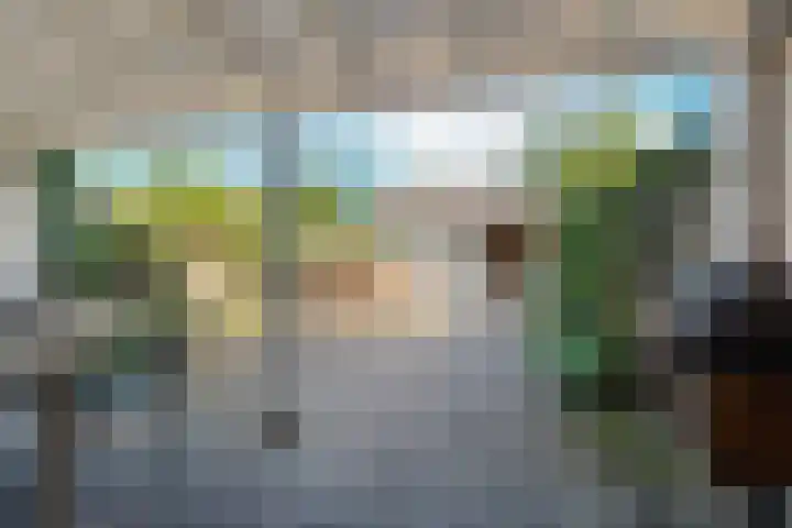 Pinksterbloem 14 Brummen thumbnail 37