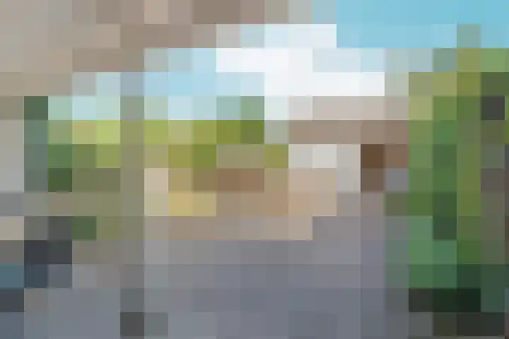 Pinksterbloem 14 Brummen thumbnail 38