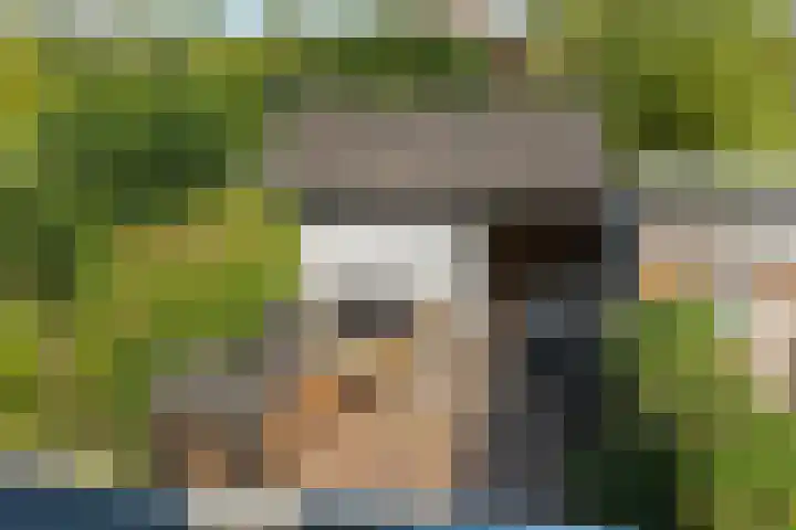 Pinksterbloem 14 Brummen thumbnail 40