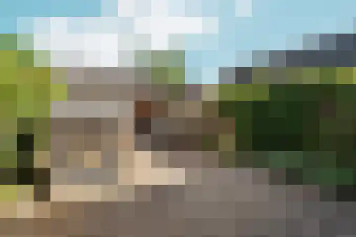 Pinksterbloem 14 Brummen thumbnail 41