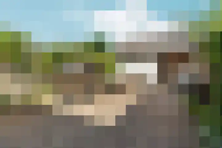 Pinksterbloem 14 Brummen thumbnail 42