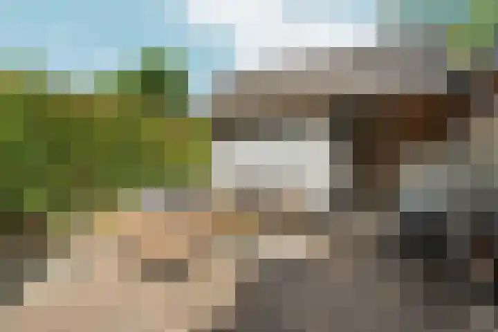 Pinksterbloem 14 Brummen thumbnail 43