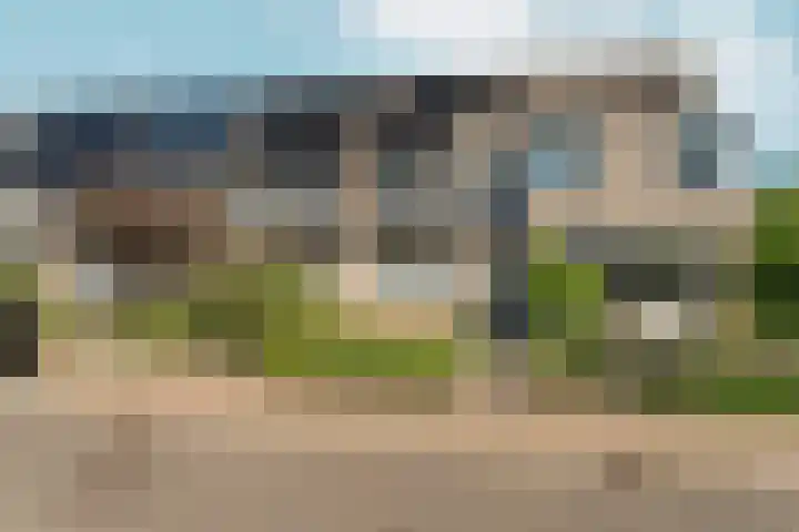 Pinksterbloem 14 Brummen thumbnail 46