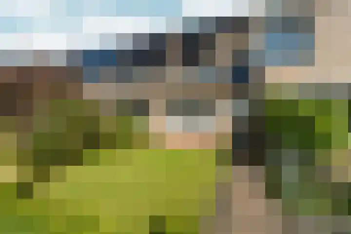 Pinksterbloem 14 Brummen thumbnail 47