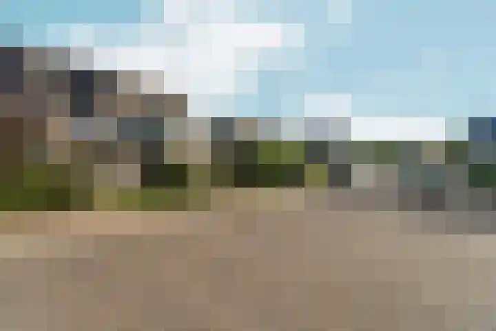 Pinksterbloem 14 Brummen thumbnail 48