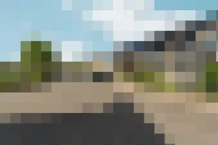 Pinksterbloem 14 Brummen thumbnail 49