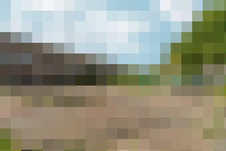 Pinksterbloem 14 Brummen thumbnail 50