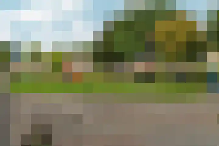 Pinksterbloem 14 Brummen thumbnail 51
