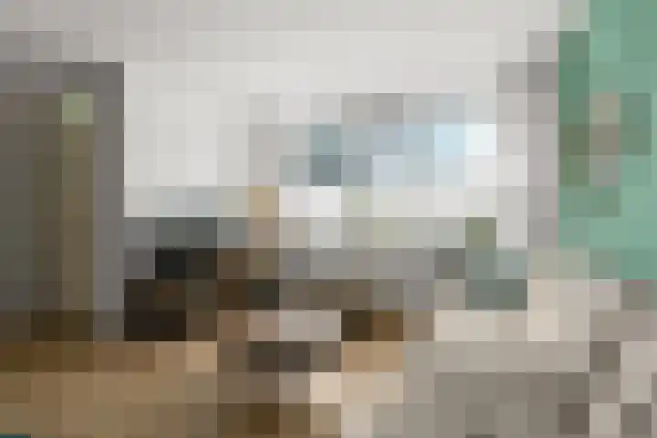 Pinksterbloem 14 Brummen thumbnail 7