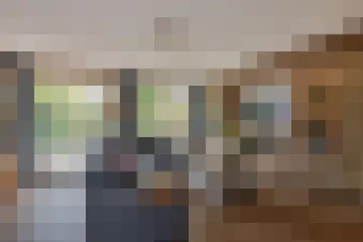 Pinksterbloem 17 Den Hoorn thumbnail 11