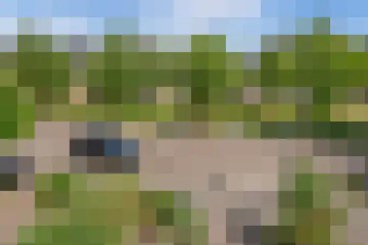 Pinksterbloem 17 Den Hoorn thumbnail 23