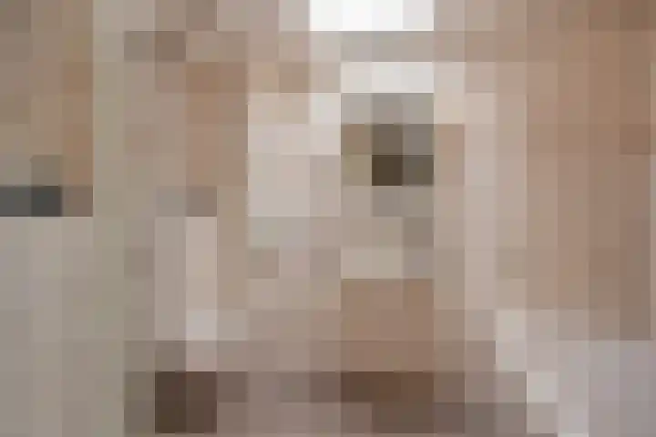 Pinksterbloem 17 Den Hoorn thumbnail 25