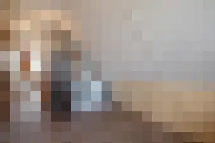 Pinksterbloem 17 Den Hoorn thumbnail 31