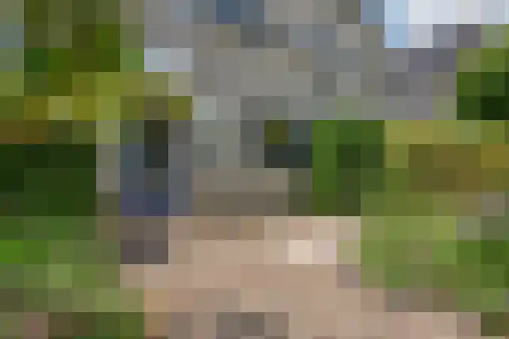 Pinksterbloem 17 Den Hoorn thumbnail 5