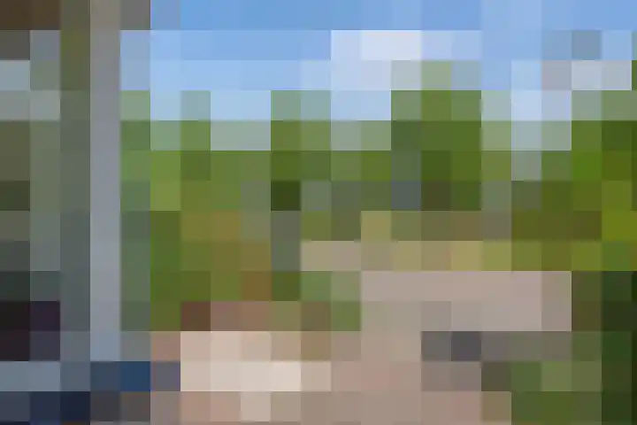 Pinksterbloem 17 Den Hoorn thumbnail 6