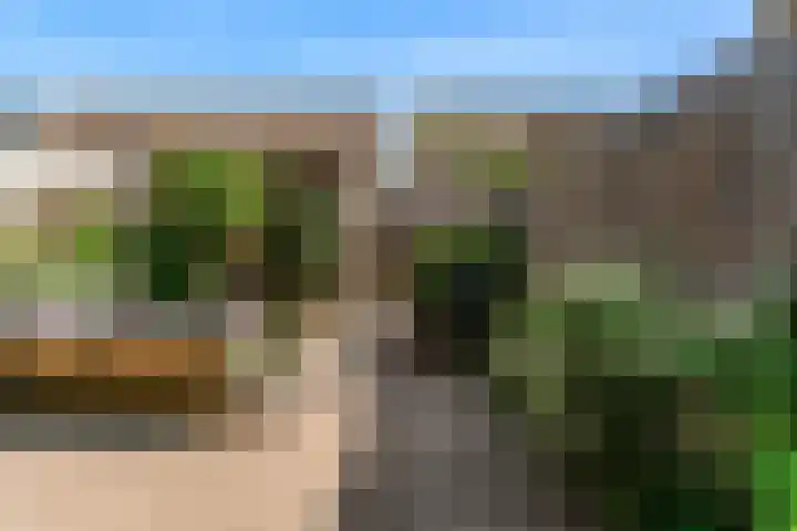 Pinksterbloem 17 Velserbroek thumbnail 16