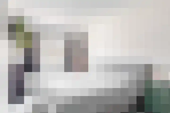 Pinksterbloem 17 Velserbroek thumbnail 21