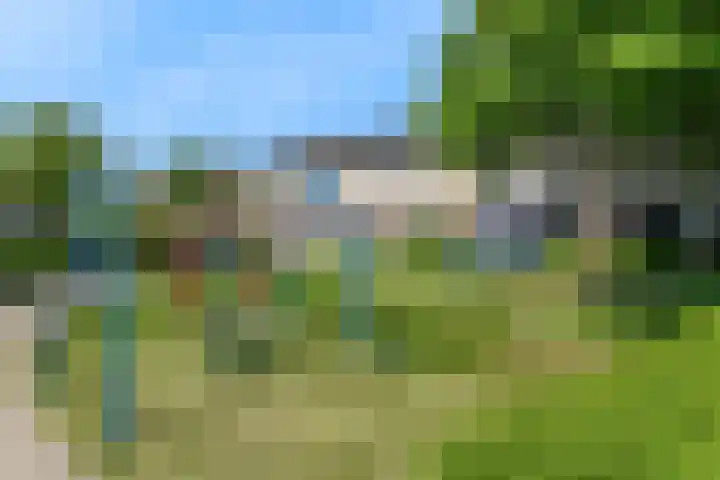 Pinksterbloem 17 Velserbroek thumbnail 34