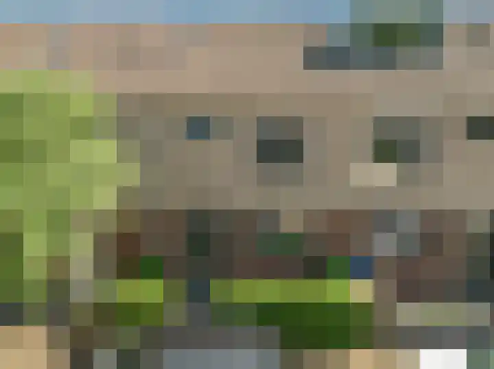 Pinksterbloem 17 Velserbroek thumbnail 41